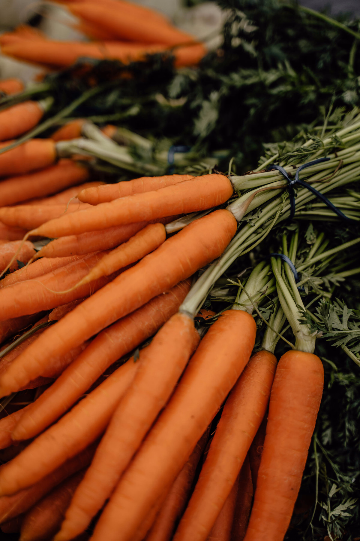 Carrots
