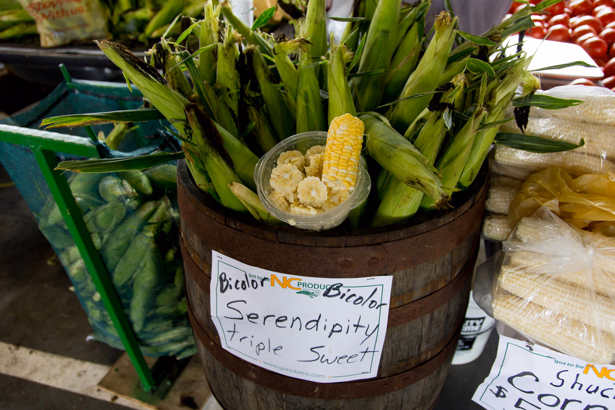 Corn, Fresh Sweet