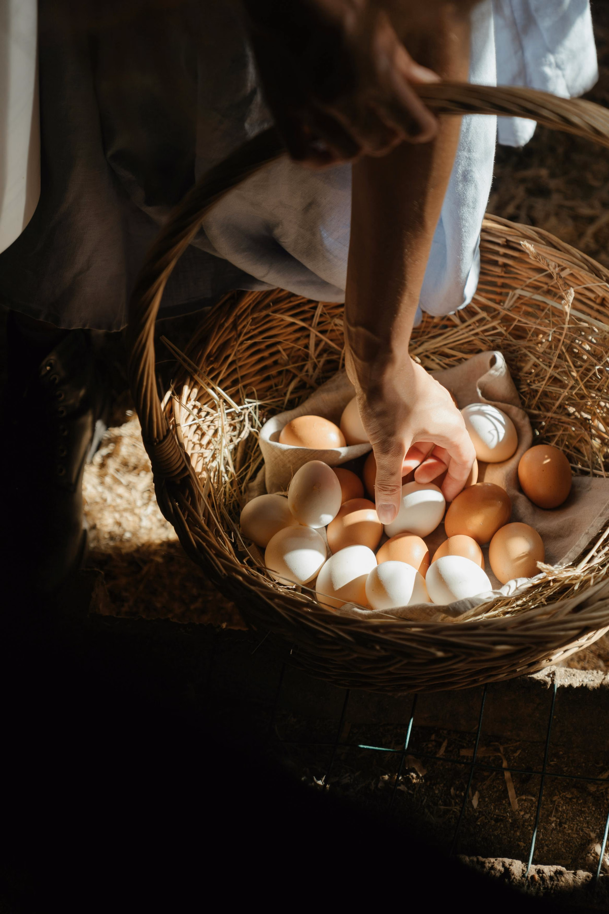 Eggs, pasture-raised