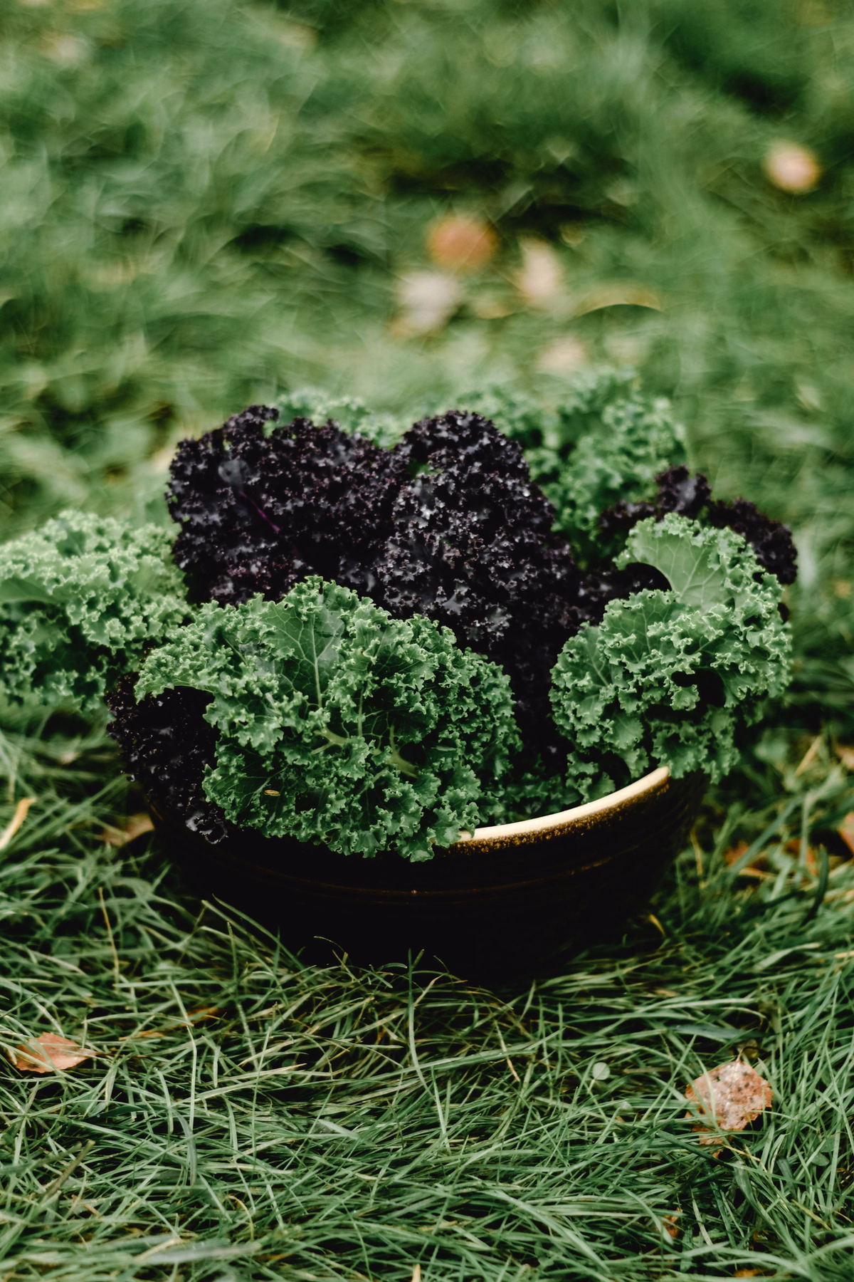 Kale