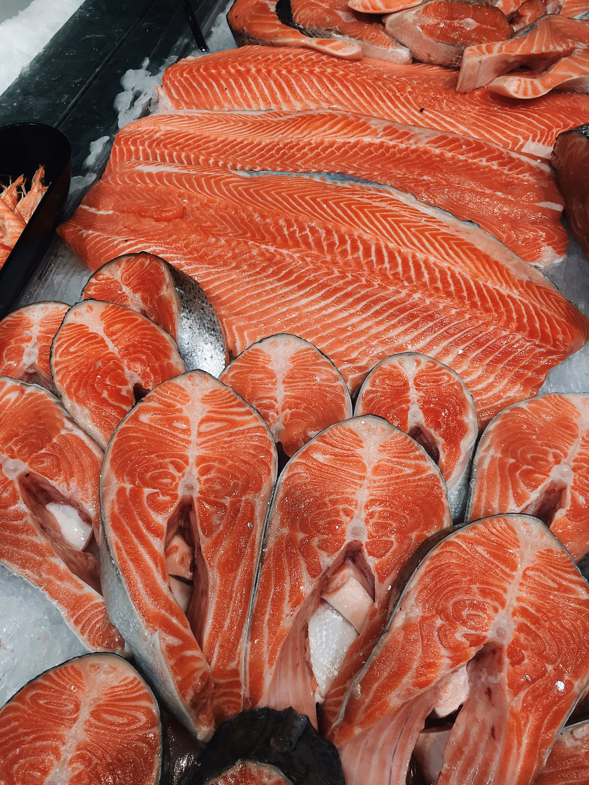 Salmon