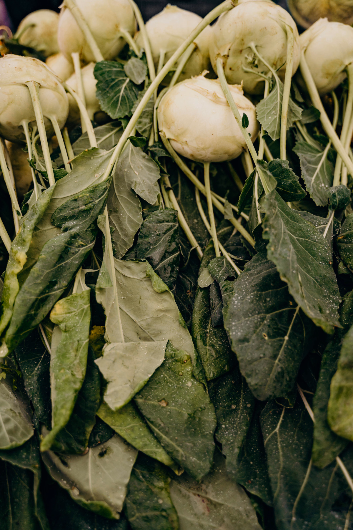 Turnip greens
