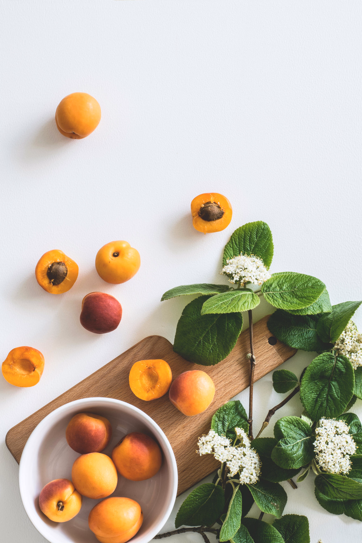 Apricot Compote
