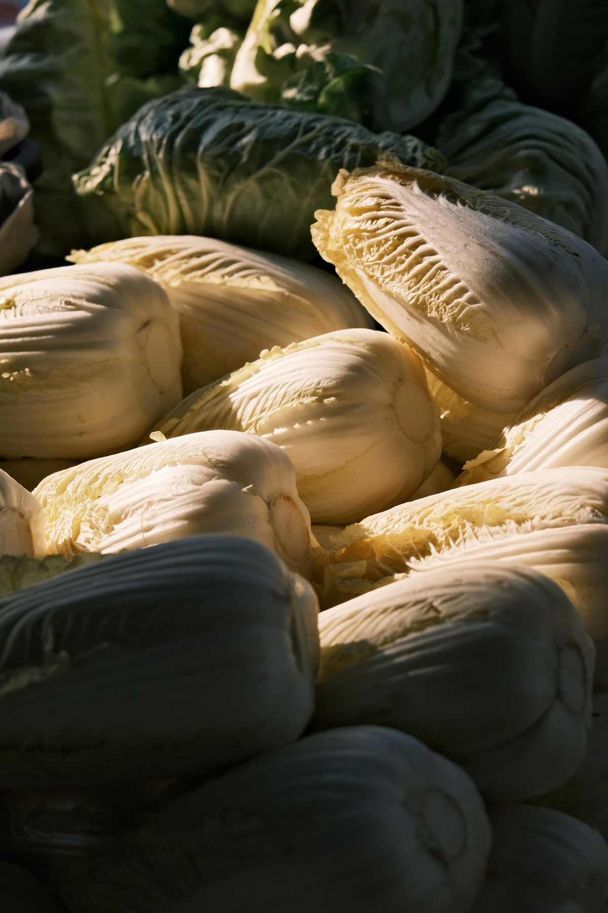 Poached Fish with Napa Cabbage